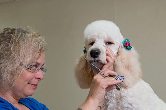 Gahanna Animal Hospital 12