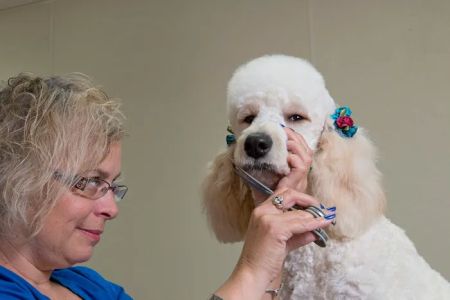 Gahanna Animal Hospital