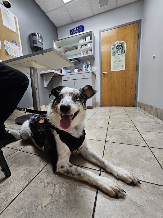 Gahanna Animal Hospital 12