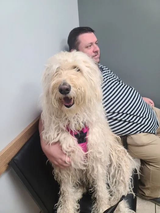 Gahanna Animal Hospital 12