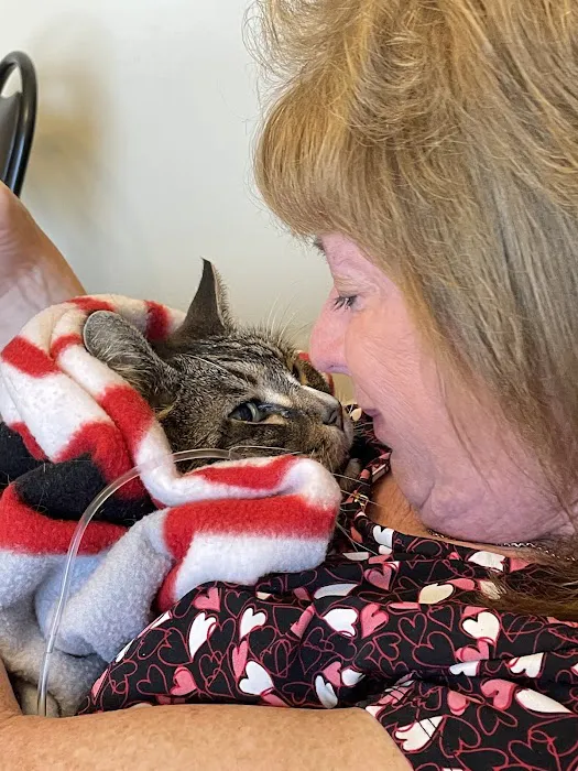 Gahanna Animal Hospital 12