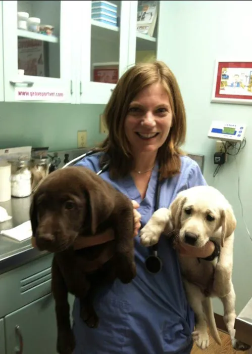 Easton Animal Hospital 12