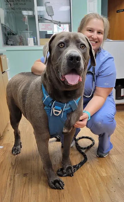 Easton Animal Hospital 12