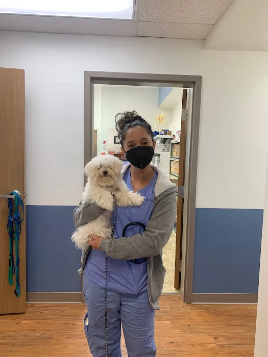 Easton Animal Hospital 12