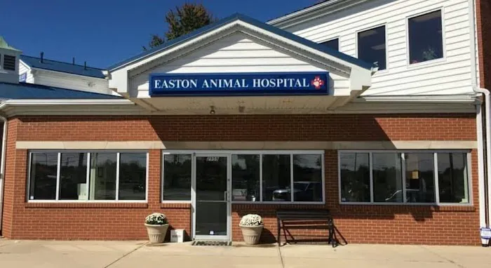 Easton Animal Hospital 12