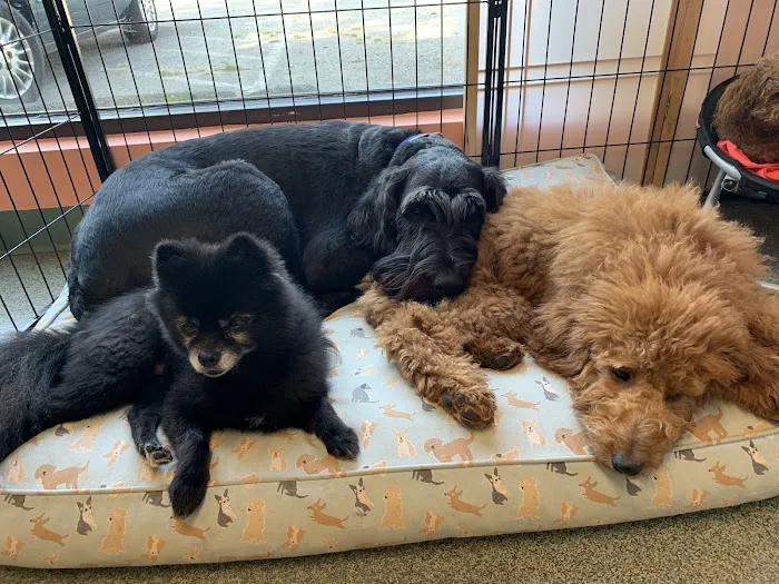 Vet Clinic East 12