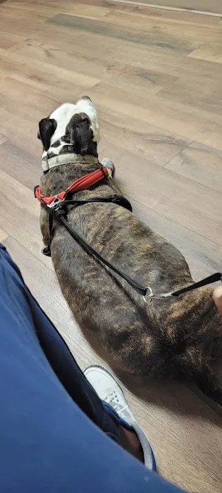 Vet Clinic East 12