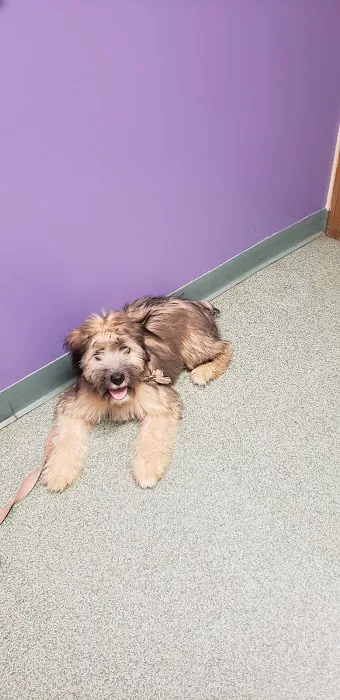 Vet Clinic East 12