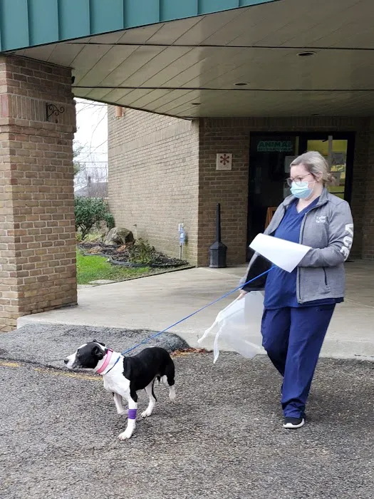 Vet Clinic East 12