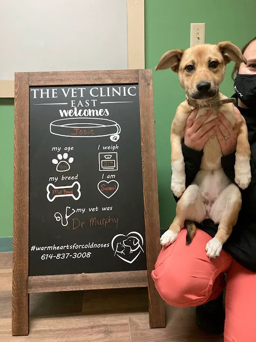 Vet Clinic East 12
