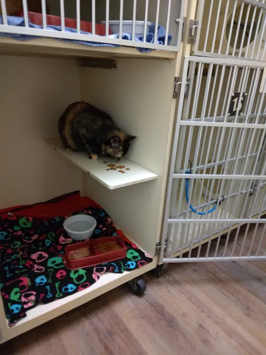 Vet Clinic East: Bowers Sara DVM 12