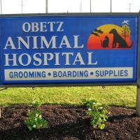 Obetz Animal Hospital: Waidelich, Nicole DVM ico