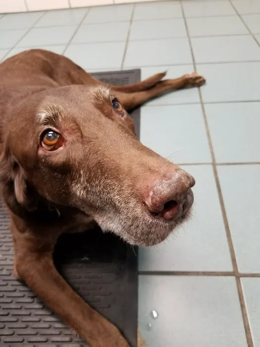 Obetz Animal Hospital: Gatens, John DVM 12