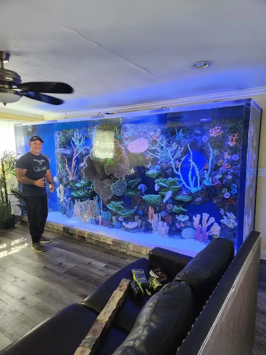 Coral Nerd | Saltwater Fish & Coral Store 5