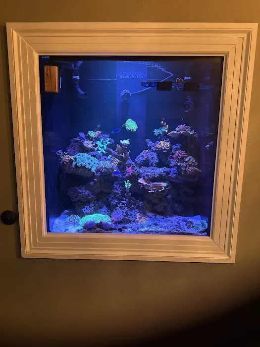 Coral Nerd | Saltwater Fish & Coral Store 6