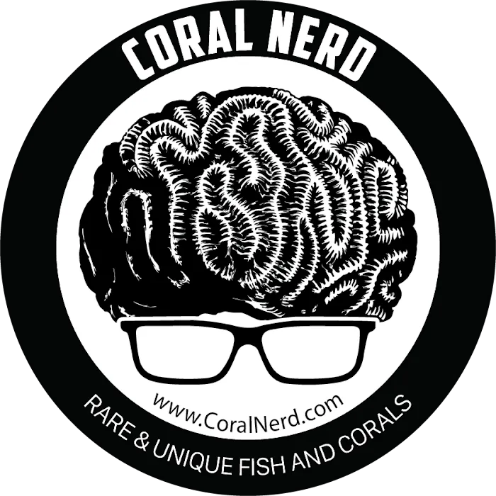 Coral Nerd | Saltwater Fish & Coral Store 7