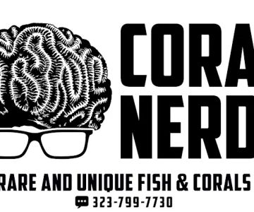 Coral Nerd | Saltwater Fish & Coral Store