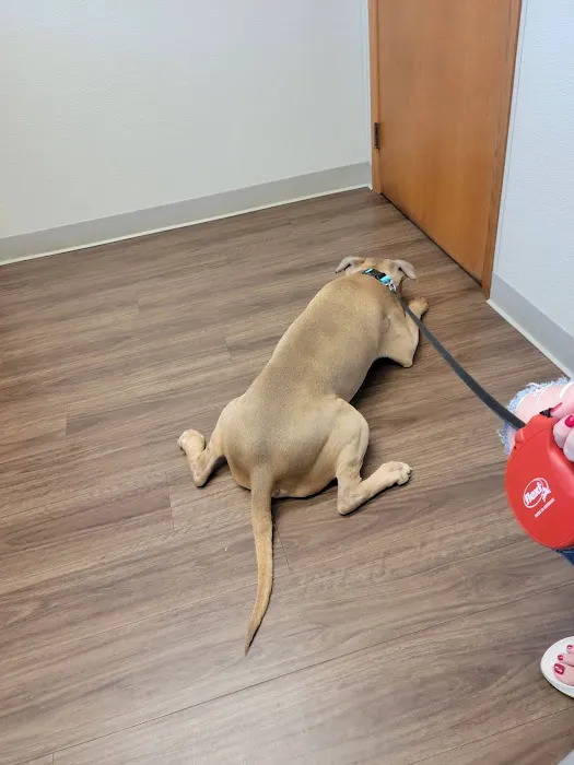 Obetz Animal Hospital 12