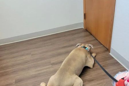 Obetz Animal Hospital