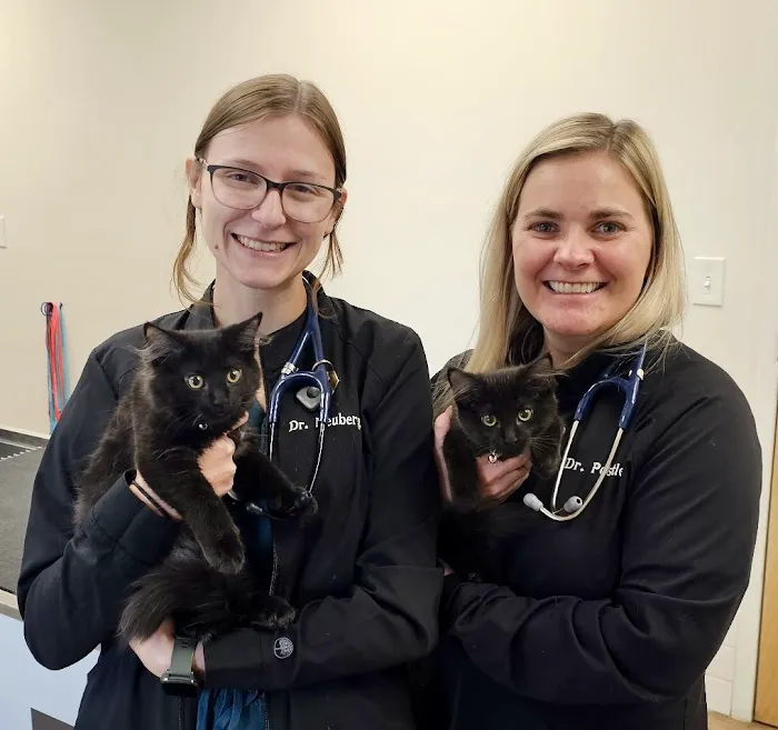 Stringtown Animal Hospital 12