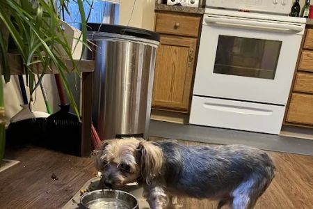 Stringtown Animal Hospital