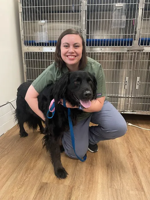 Stringtown Animal Hospital 12