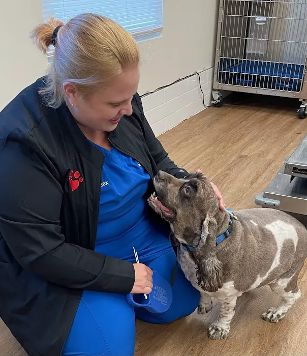 Stringtown Animal Hospital 12