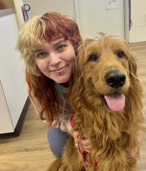 Stringtown Animal Hospital 12