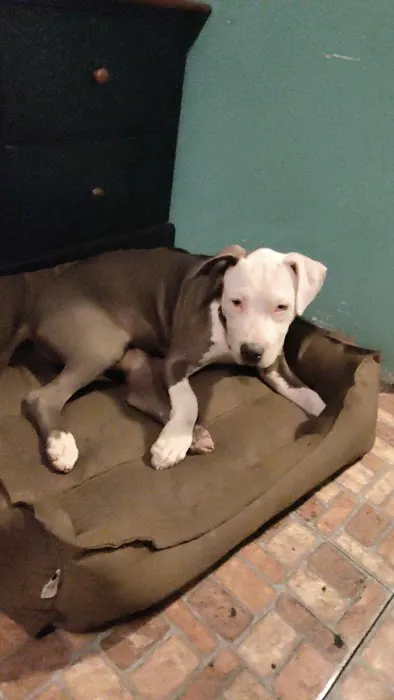 Petco 1