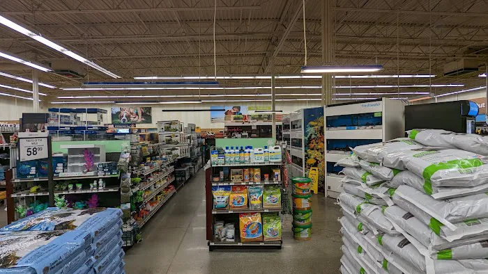Petco 4