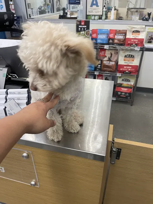 Petco 8
