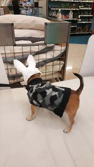 Petco 9