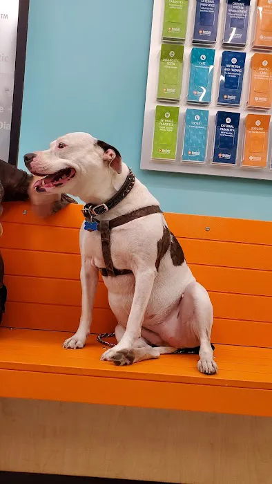 Banfield Pet Hospital 12