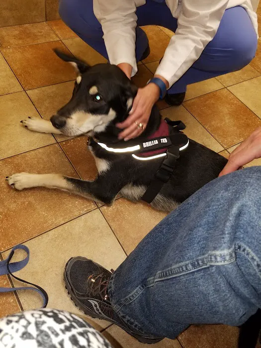 Banfield Pet Hospital 12