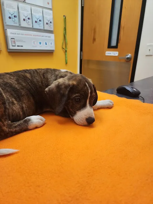 Banfield Pet Hospital 12