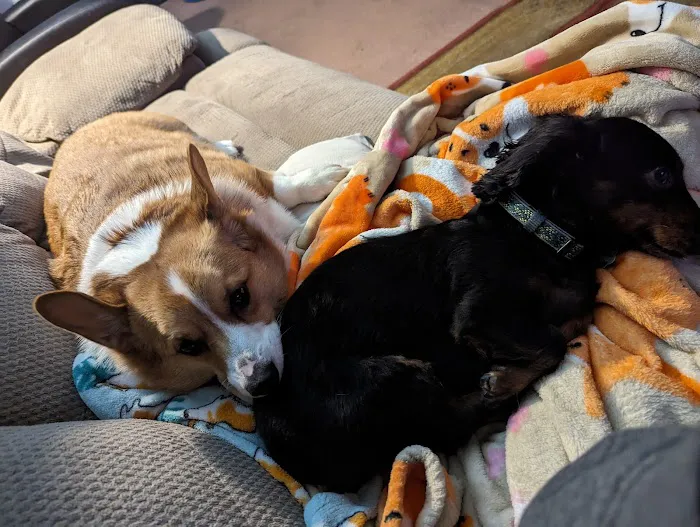 Banfield Pet Hospital 12