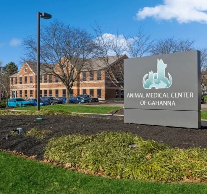 Animal Medical Center of Gahanna 12