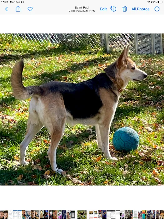 Banfield Pet Hospital 12