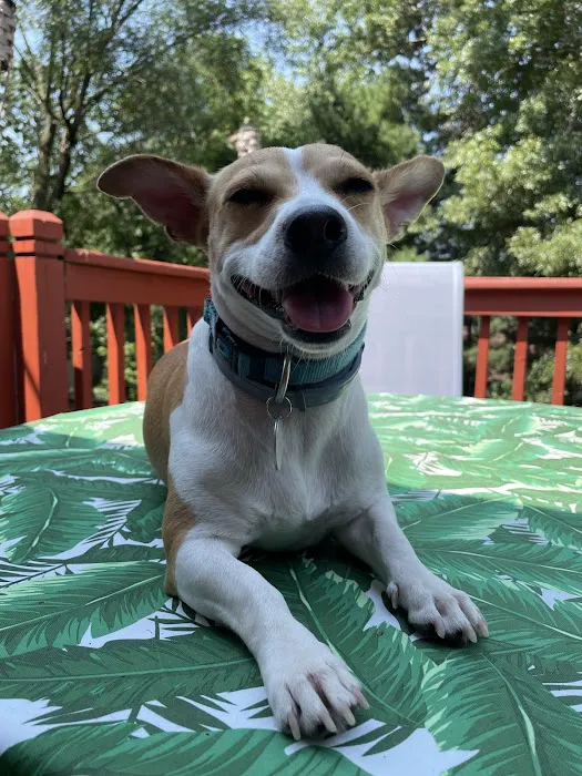 Maplebrook Pet Care Center 12