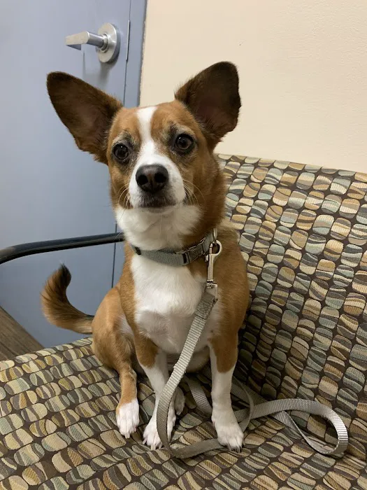 Maplebrook Pet Care Center 12