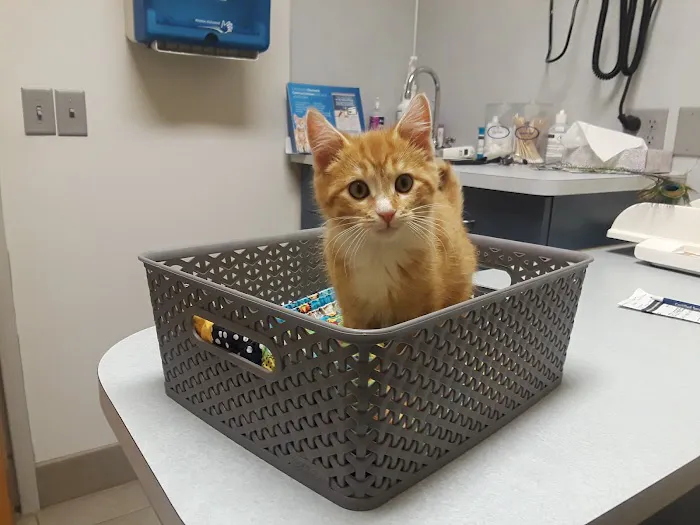 North St. Paul Animal Hospital 12