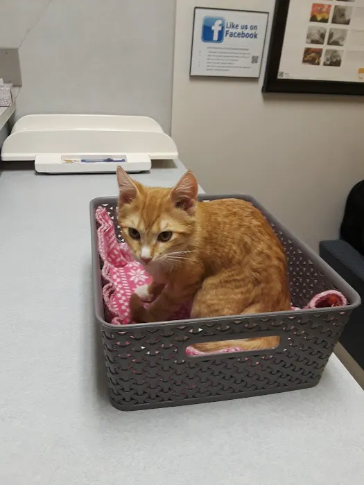 North St. Paul Animal Hospital 12