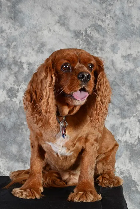 Life Care Animal Hospital 12