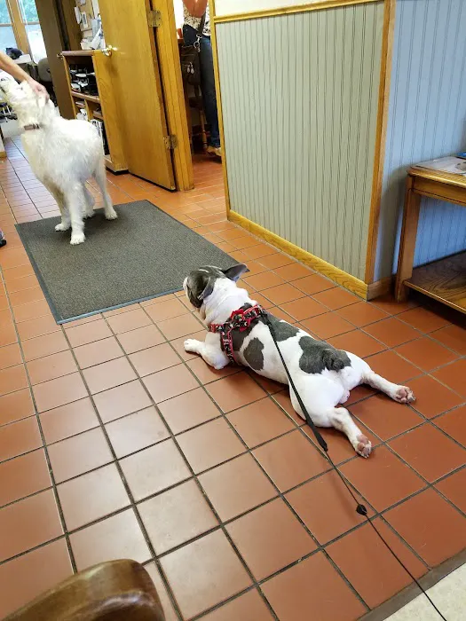 Century Animal Clinic 12