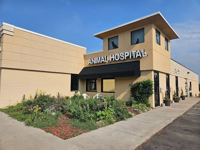 Shoreview North Oaks Animal Hospital 12