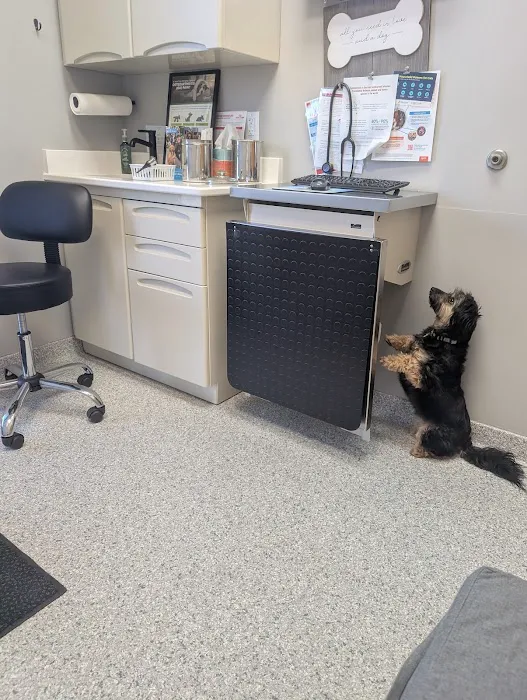 Shoreview North Oaks Animal Hospital 12