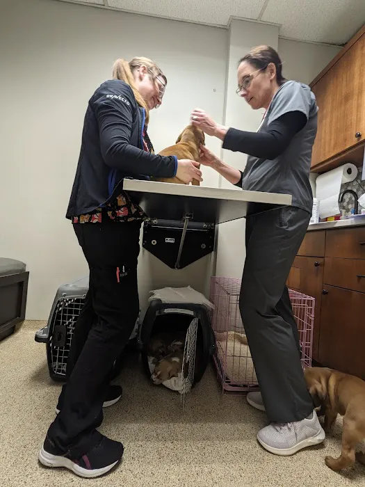 veterinary hospitals lino lakes, mn - minnesota veterinary hospital 12
