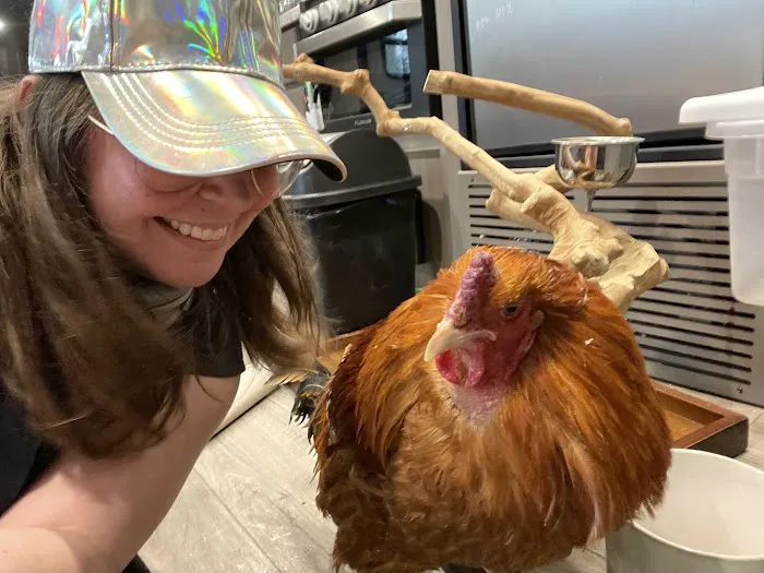 Avian & Exotic | AEVHS New Brighton Satellite Clinic 12