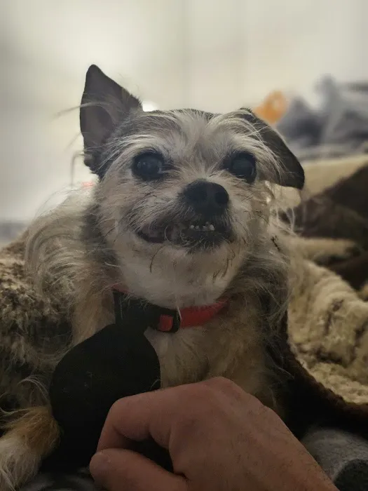 Brighton Veterinary Hospital 12