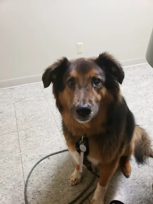 Birch Lake Animal Hospital 12